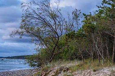 TES战队新阵容首次亮相，团队配合初显成效，tes战队官方产品